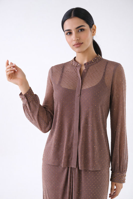 Elegant Embellished Sheer Shirt