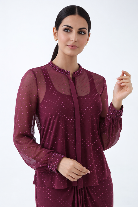 Elegant Embellished Sheer Shirt